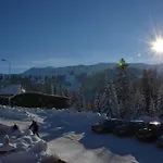 Nebojsa 3*