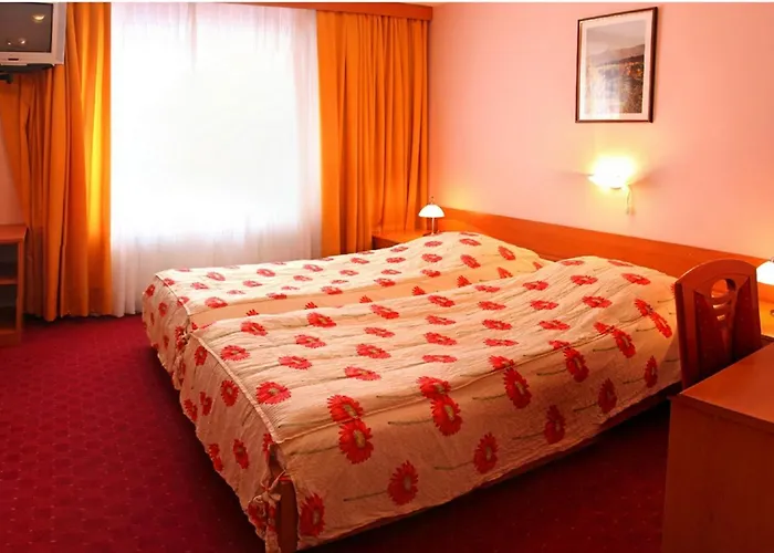 Nebojsa Hotel 3*