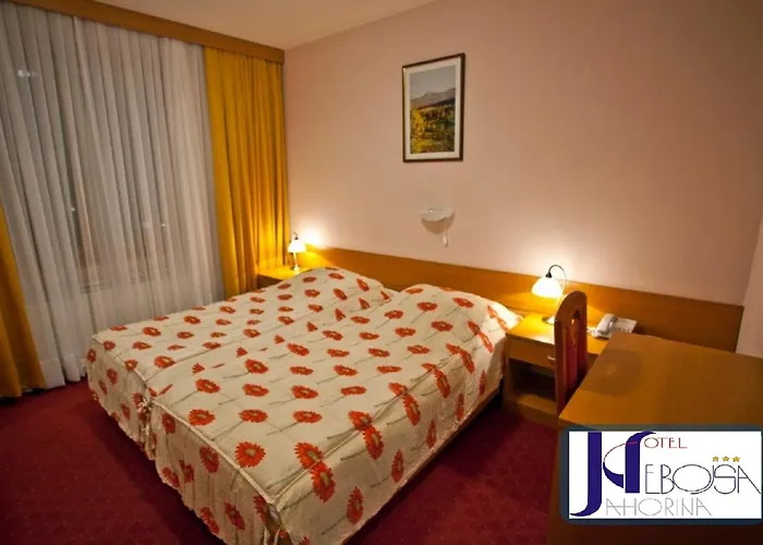 Nebojsa Hotel 3*