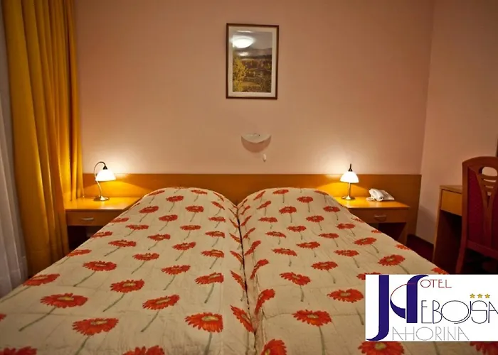 Hotel Nebojsa 3*